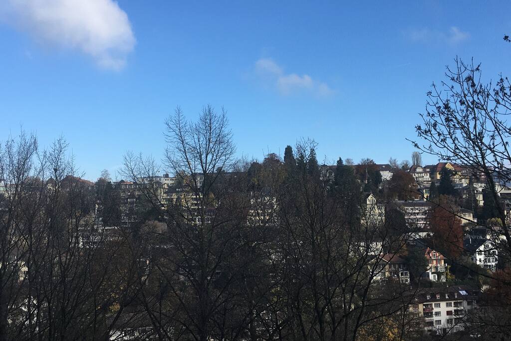 Window view 2