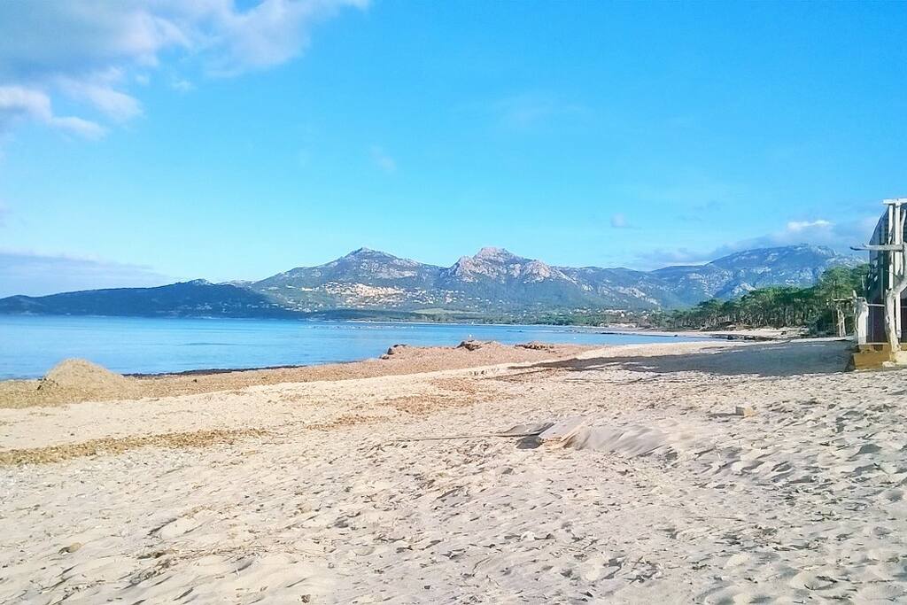 plage de Calvi
