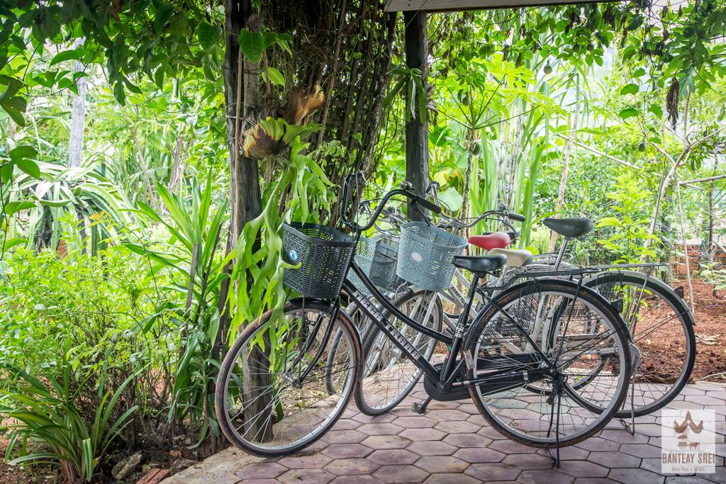 Vélos et tuk tuk disponibles