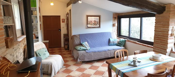 المسكن عبارة عن استوديو مساحته 25 مترًا مربعًا. الأريكة عبارة عن سرير (قاعدة سرير شرائحية) - vacances.vallespir