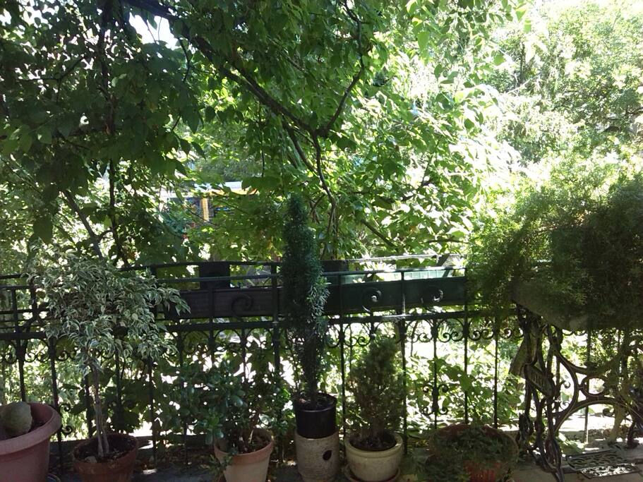 ...the other side of the terrace