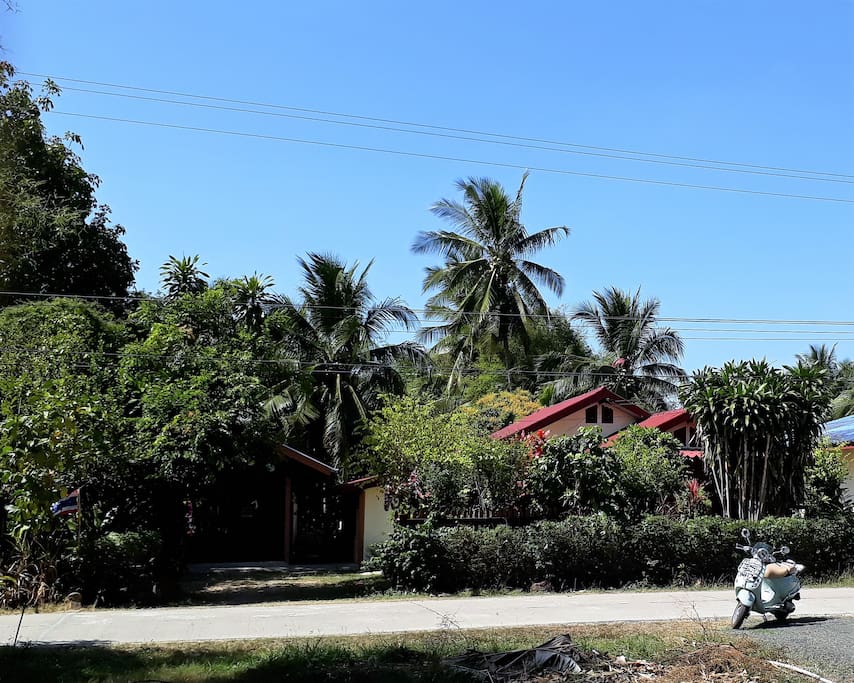 Our house is surrounded by large trees and a beautiful garden.