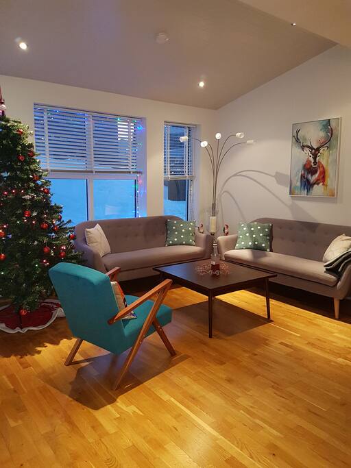 Living area on the 1st floor ( at Christmas time)