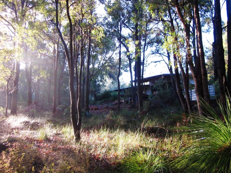Dwellingup Bush Retreat Houses for Rent in Dwellingup, Western