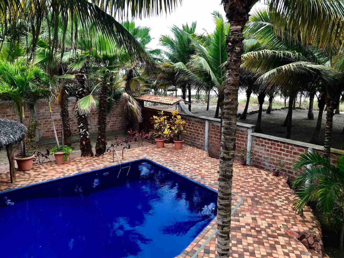 A vibrant pool is set within a tiled patio, surrounded by palm trees and lush foliage. The area features decorative plants in pots and a thatched roof structure in the background, leading to a sandy beach area beyond the wall.
