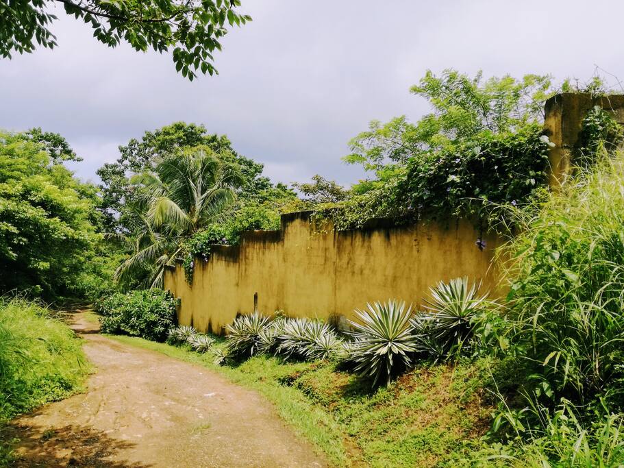 Arrival to the property