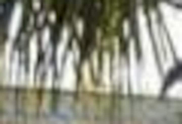 תמונה מספר 1 של .