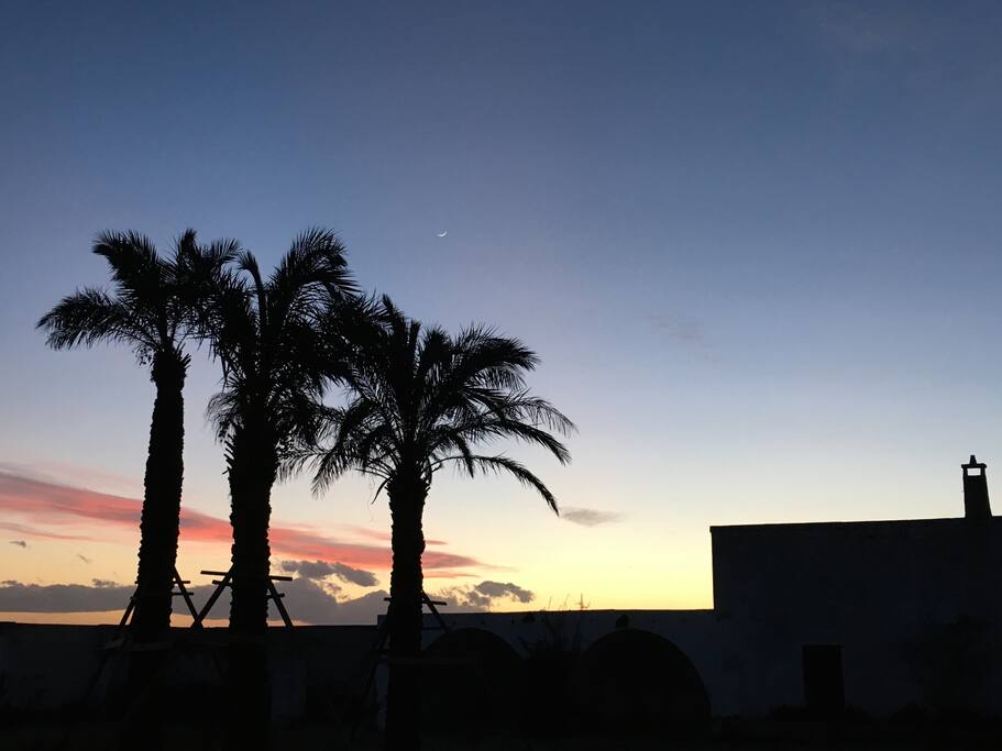 La Noa by night