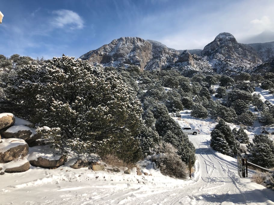 Winter View