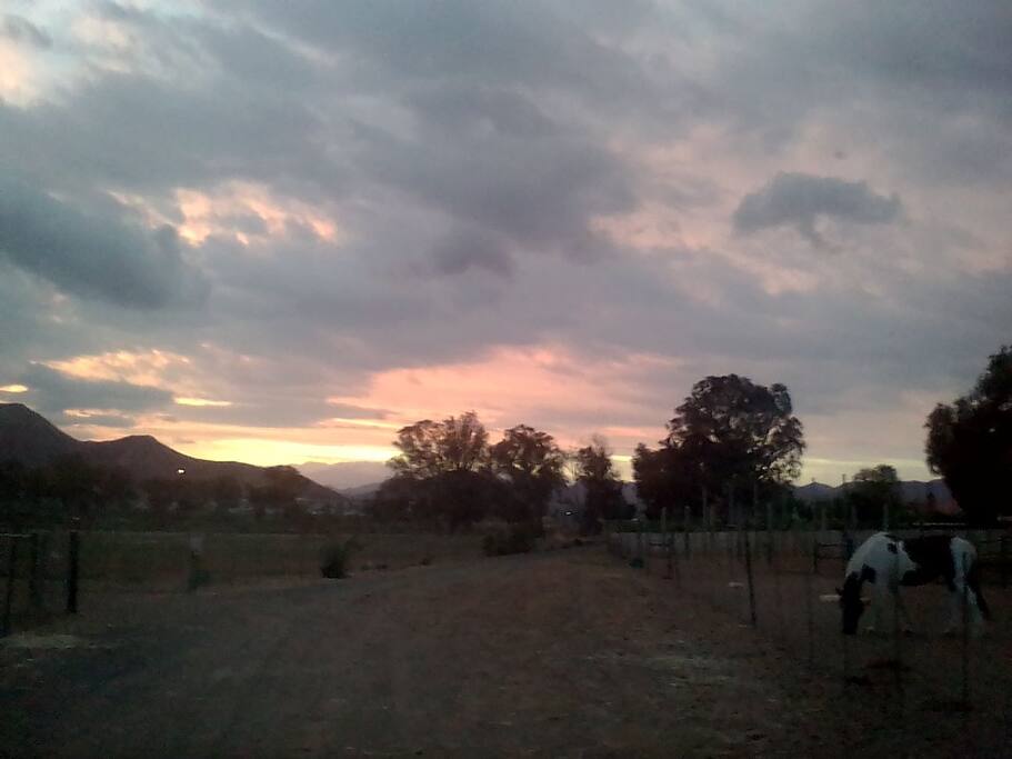 On the way into the farm