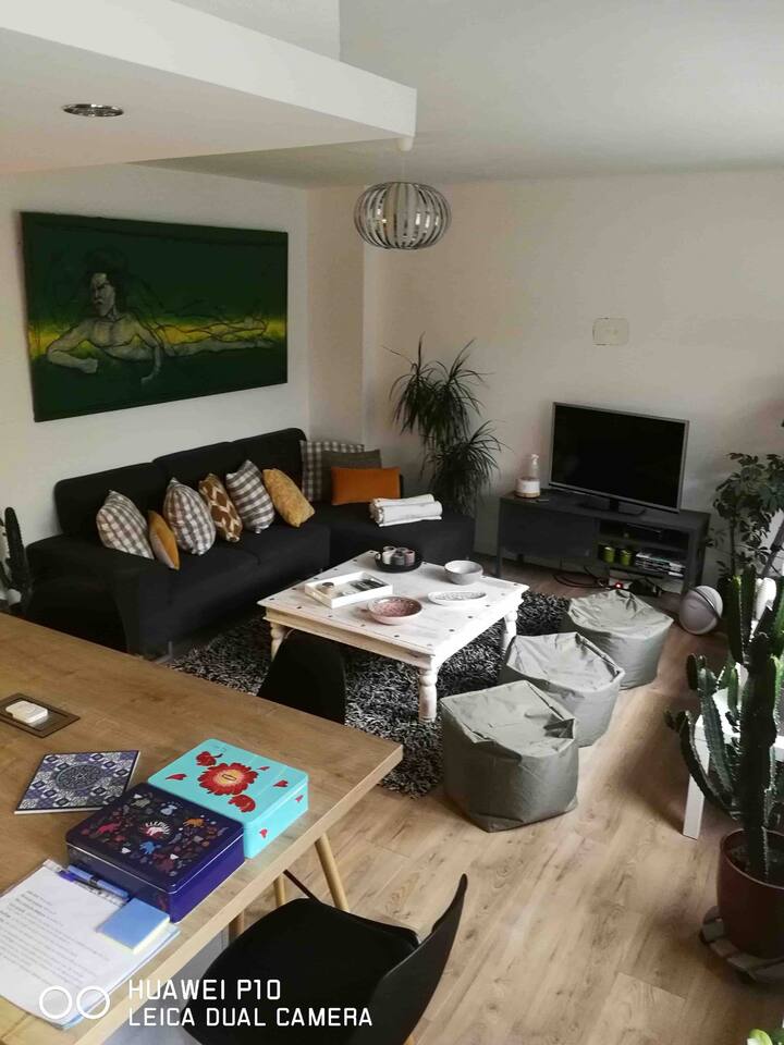 Appartement Soigné Et Confort, Mairie Centre Dunk - Dunkerque