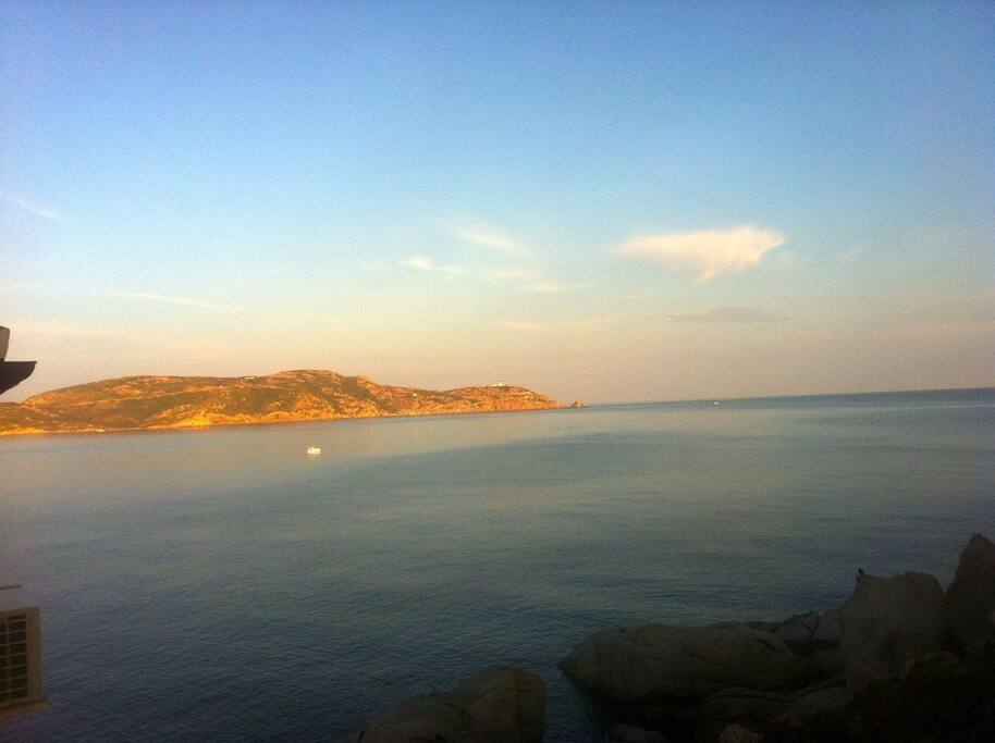 Morning view from terrace