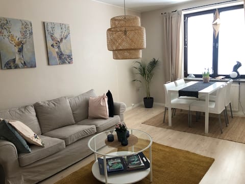 Kemi city center two room apartment, free parking