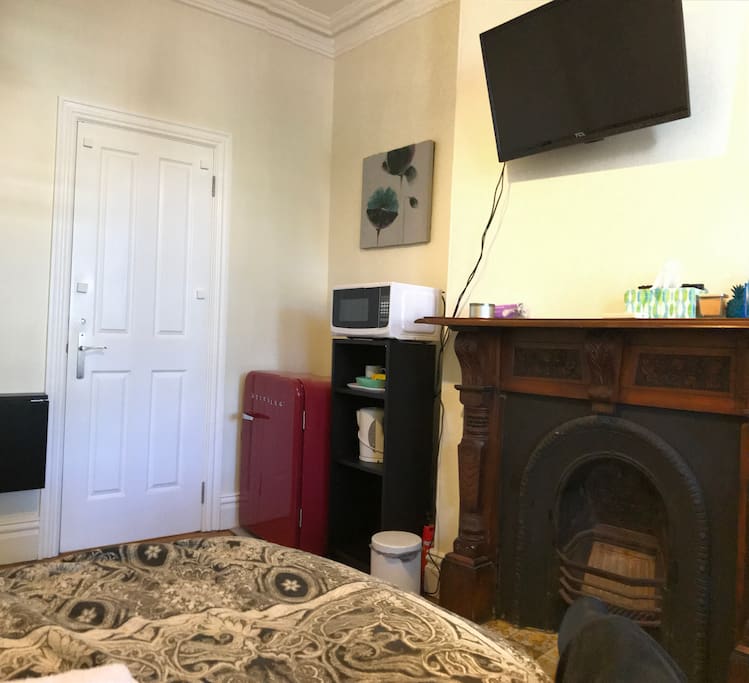 Self-contained double bedroom (with view to bathroom door, fridge, microwave, kettle, TV)