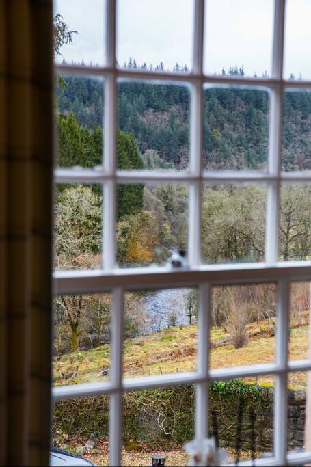 Bedroom view