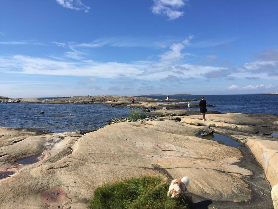 Exploring the surroundings