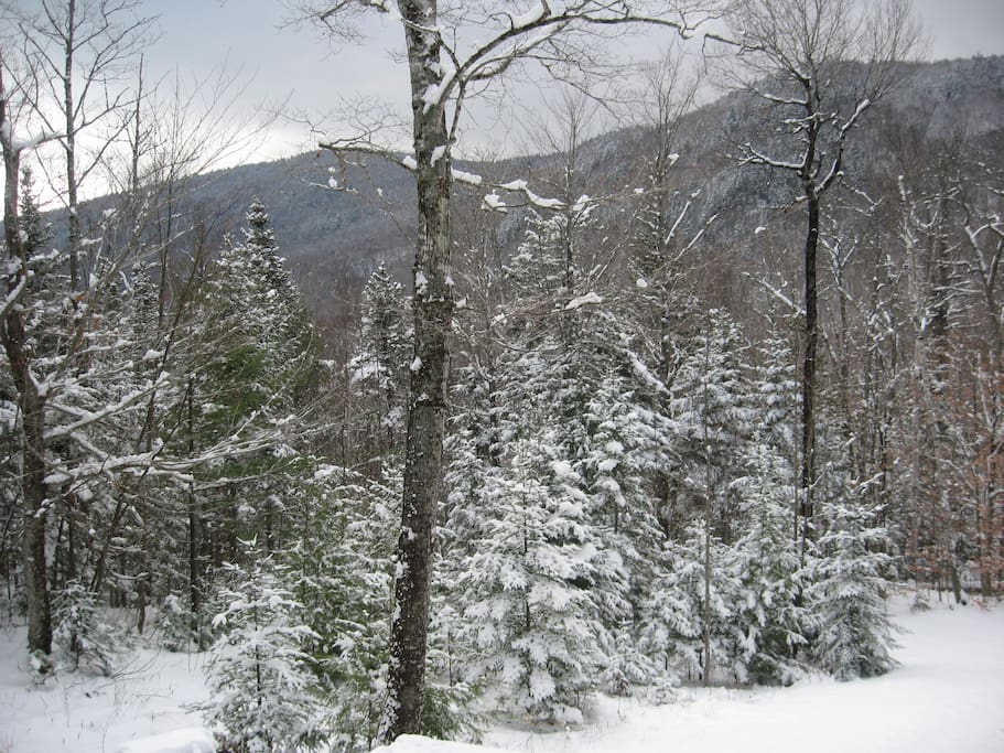 Winter porch view