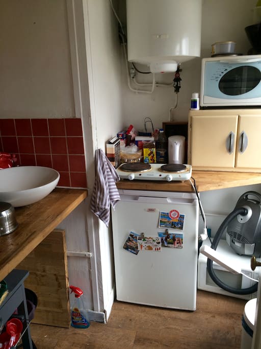 Kitchen with microwave, stovetop, convection oven, fridge