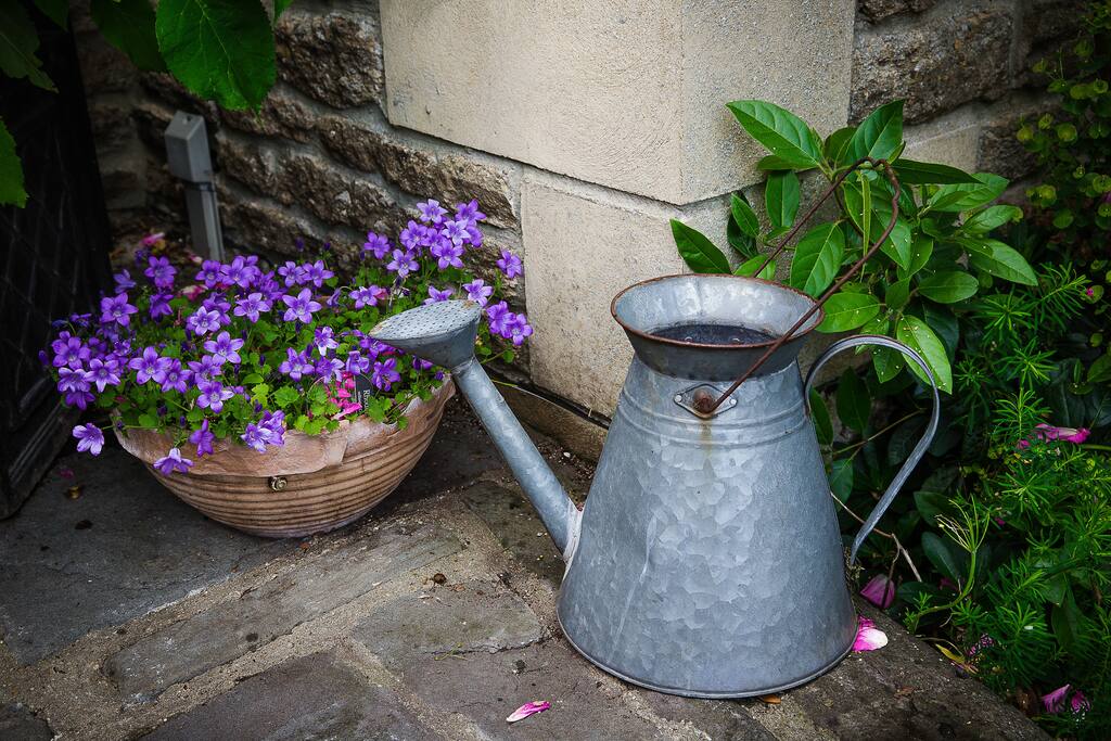 Garden outside farmhouse