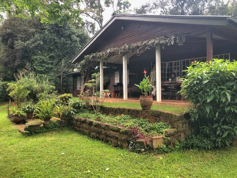Front garden