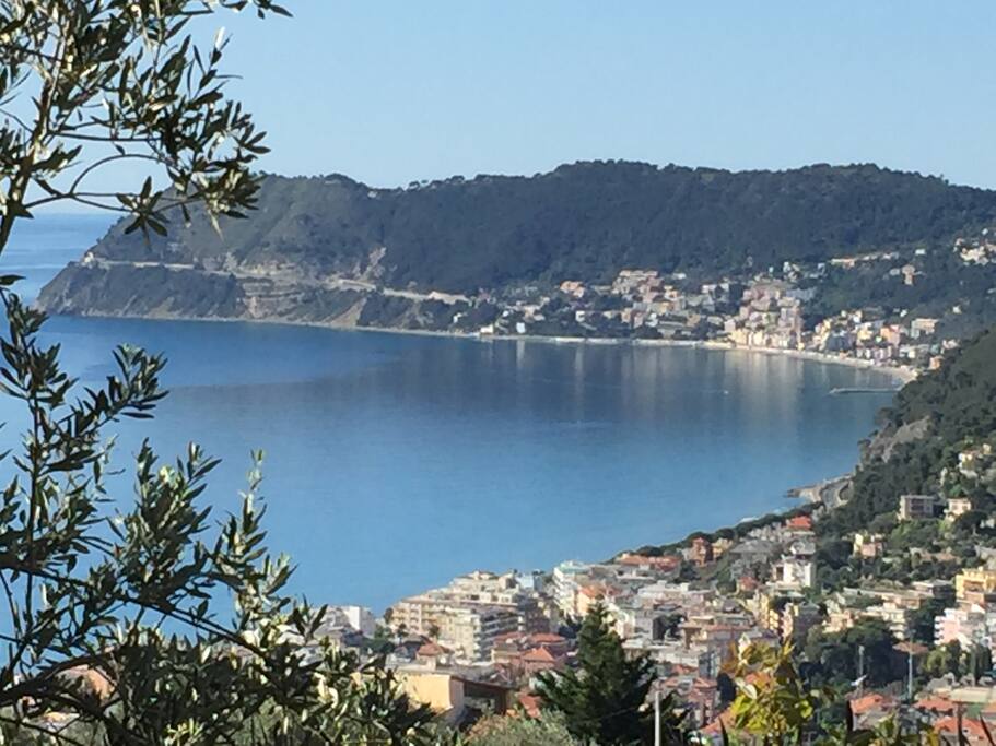 panorama