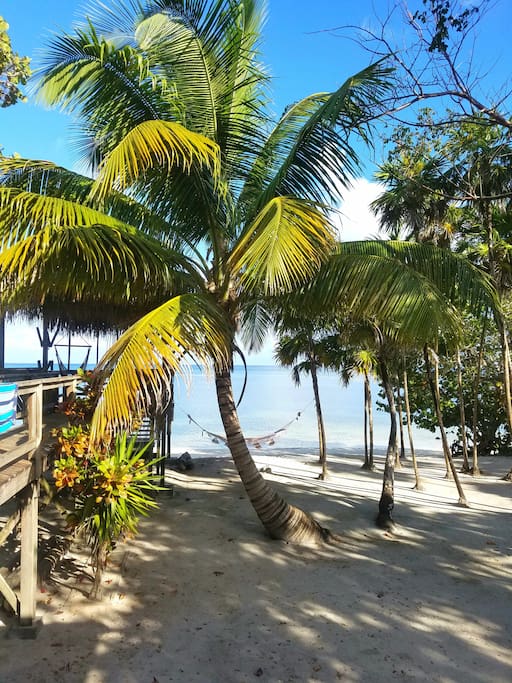 View from the front porch of bungalow