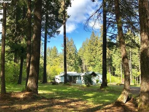 White Salmon River House with Hot Tub!