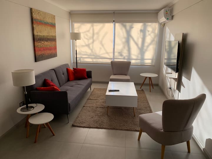 Espacio Bien Distribuido Para Estadías Tranquilas - Providencia, Chile