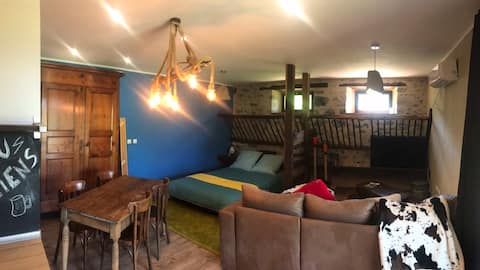 Cozy studio in an old barn