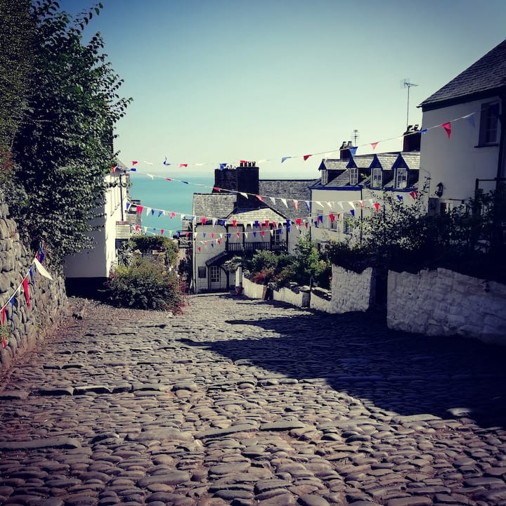 Visit the beautiful Clovelly village