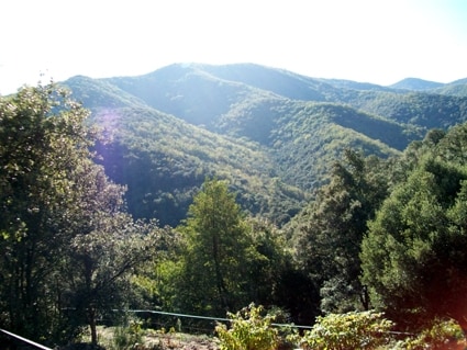 Lush green hills are visible under a bright sun, showcasing a landscape rich in natural vegetation. Varied shades of green are seen among the trees, contributing to a serene and tranquil environment. The distant mountains create a gentle backdrop to this peaceful scene.