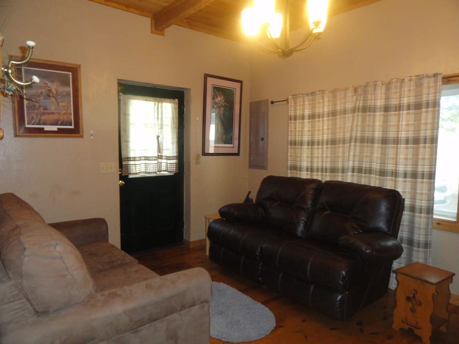Living Room w/sofa bed