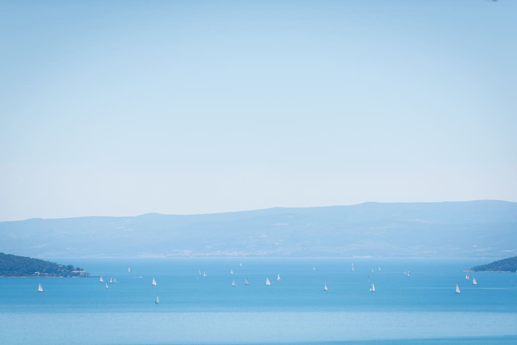 View of the bay from the terrace.