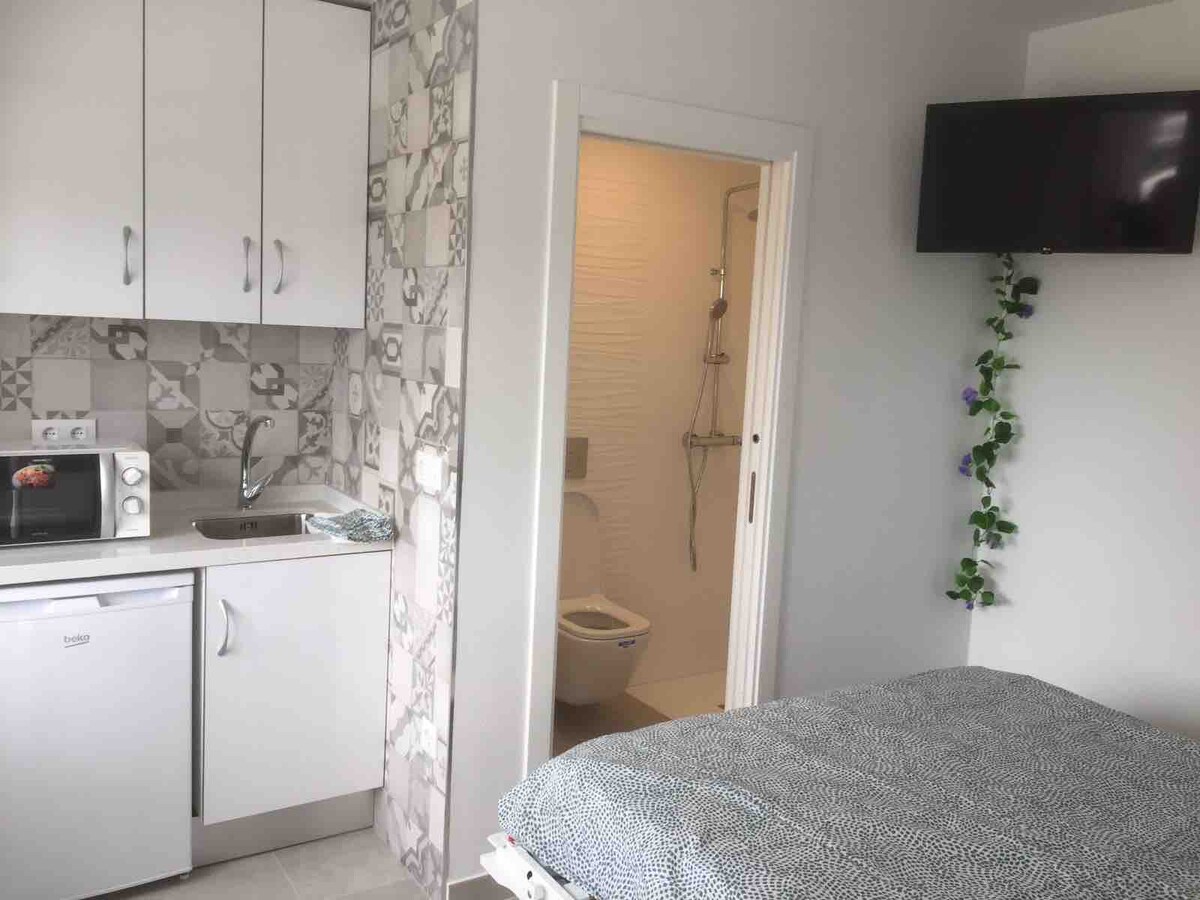 A compact studio apartment is visible, featuring a well-equipped kitchenette with white cabinetry and a small dining area. A spacious bed is positioned against the wall. An ensuite bathroom is seen through an open door, showcasing a shower and toilet facilities. A television is mounted on the wall.