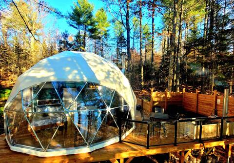 The Bay Dome