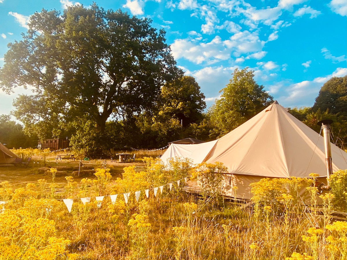 Enchanted discount bell tents