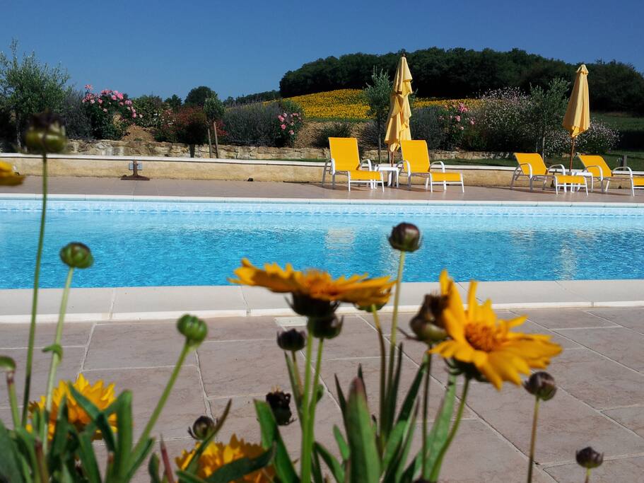 ia piscine