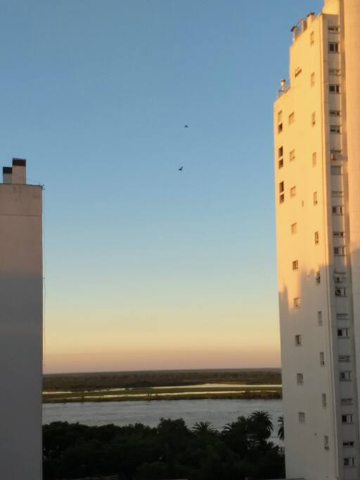 Río Paraná desde el balcón