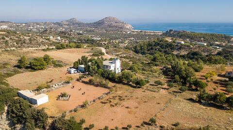Olive Tree Studio,  sea view in beautiful garden.