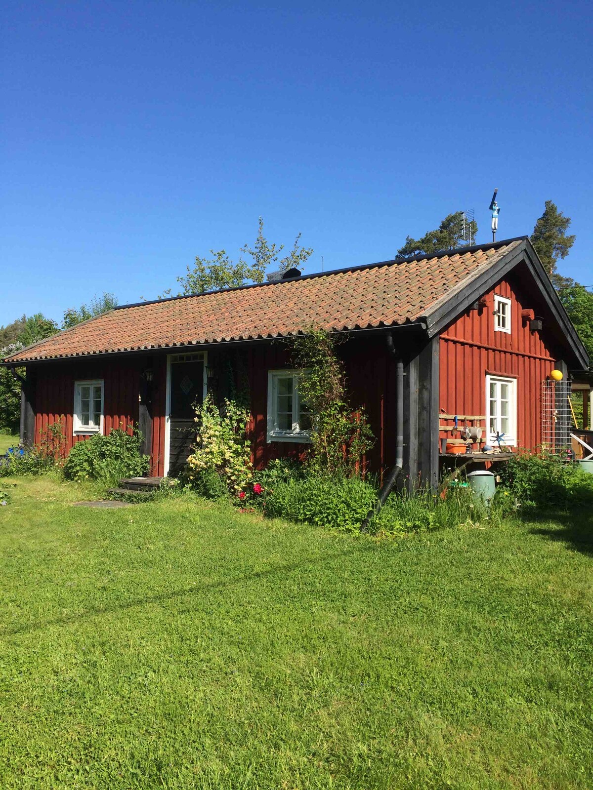 A charming red cottage is situated in a lush green landscape, featuring a welcoming entrance with flower beds. Several windows allow natural light to filter inside, while a sloped roof complements the rural setting.