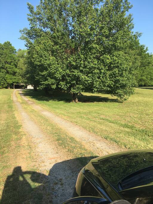 View from the top of our driveway.