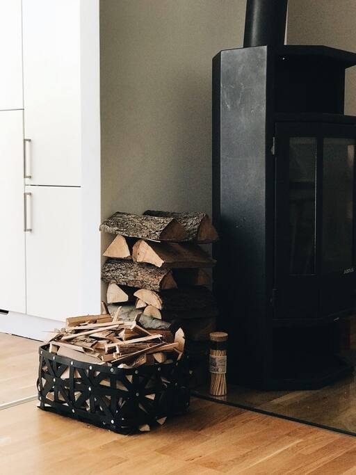 Fireplace in the living area
