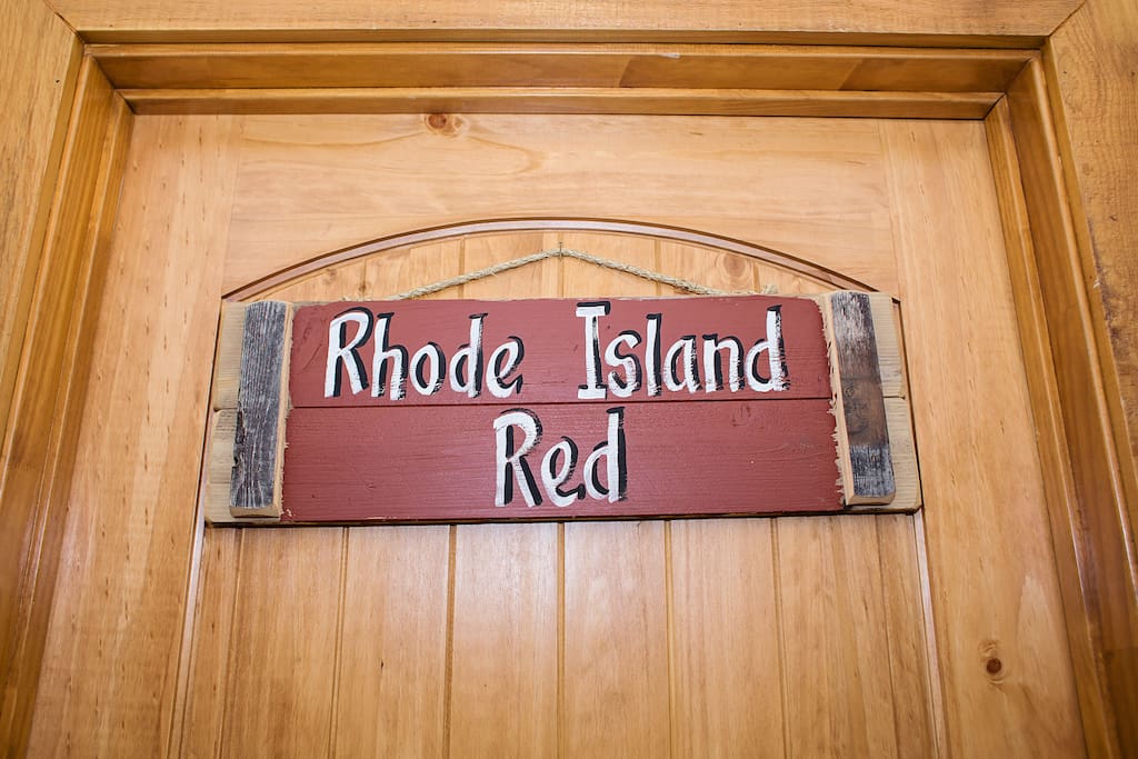Rhode Island Red