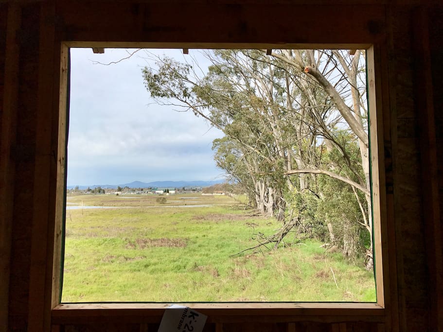 View from the guest room after a rain