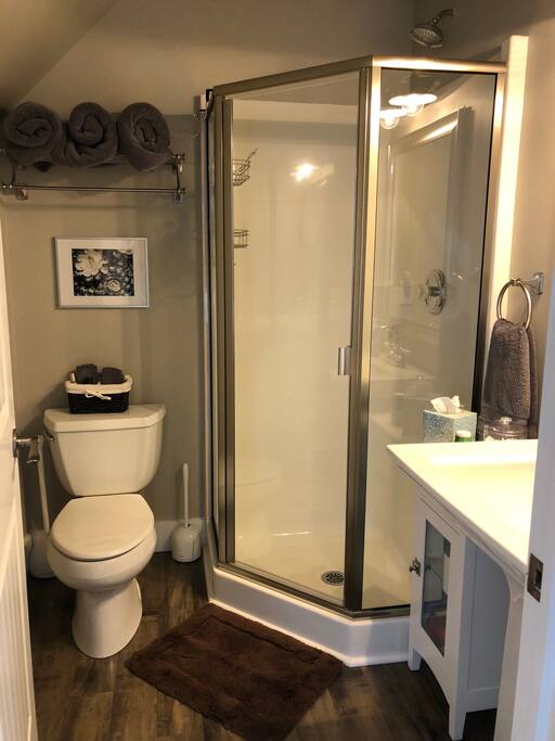 Bathroom is stocked with shampoo, conditioner, body wash, lotion, hair dryer, cotton balls and Q-tips for your convenience.