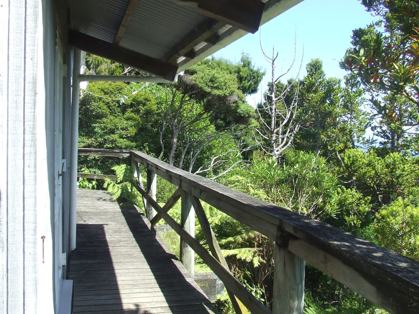 Lone Kauri Cabin 5