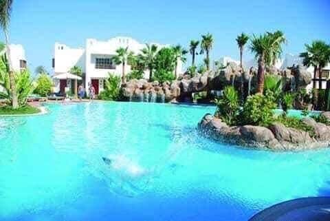 A large swimming pool is surrounded by lush palm trees and tropical plants. Rocks are artistically arranged on the pool's edge, creating a natural oasis. Clear blue water reflects the sunlight, contributing to a serene atmosphere, complemented by the architecture visible in the background.