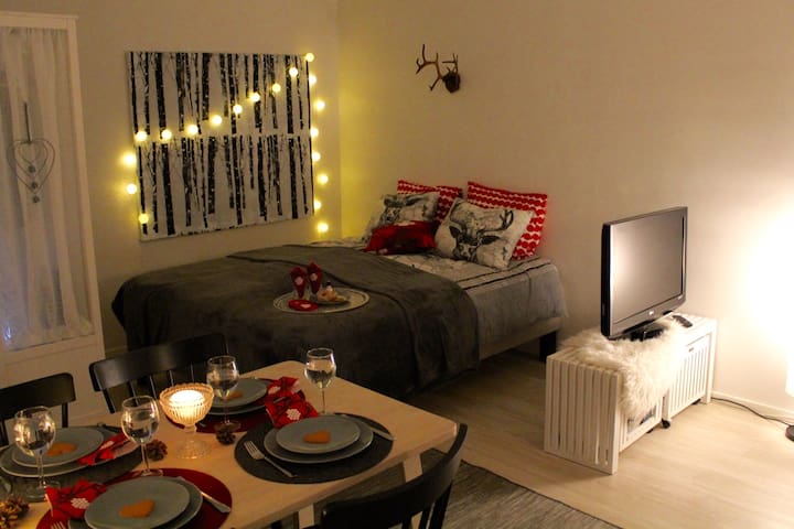 A cozy Scandinavian condo in the city center