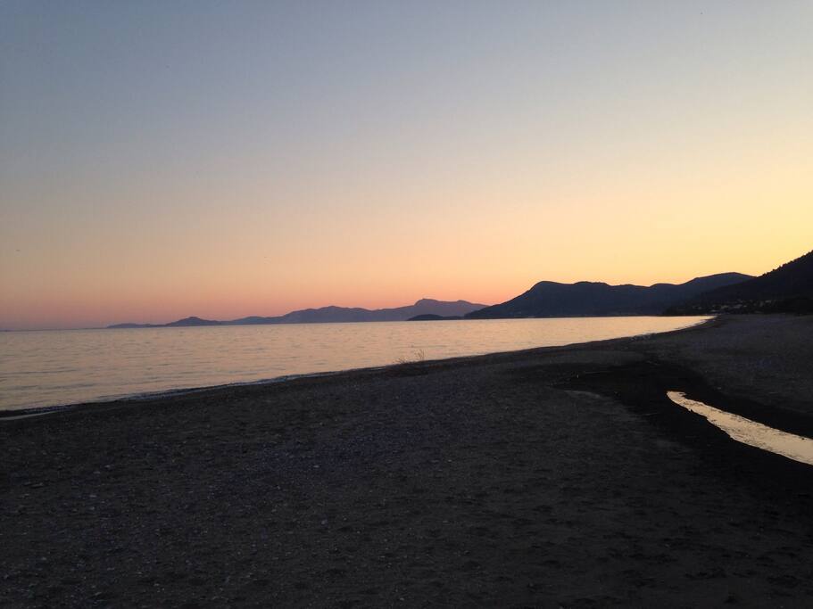 Beach