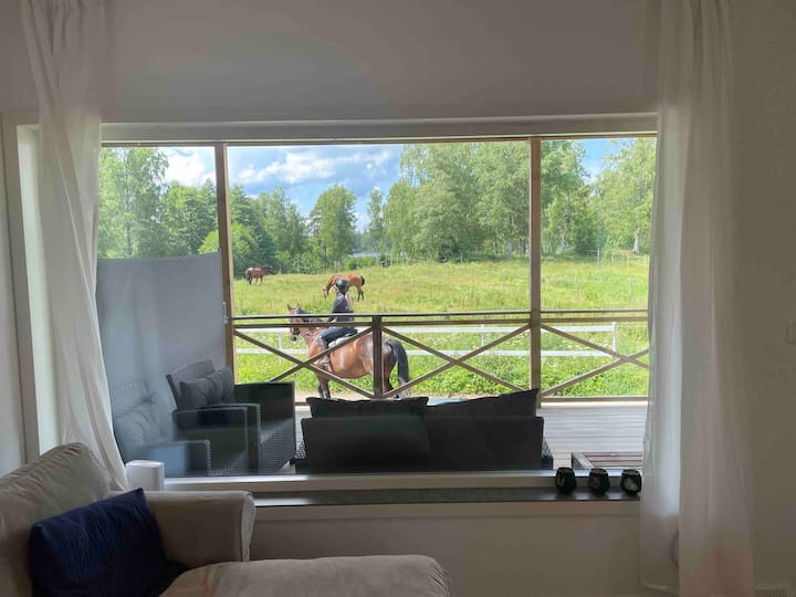 منطقة المعيشة